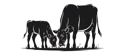 Leather Wallet &amp; Belt co.